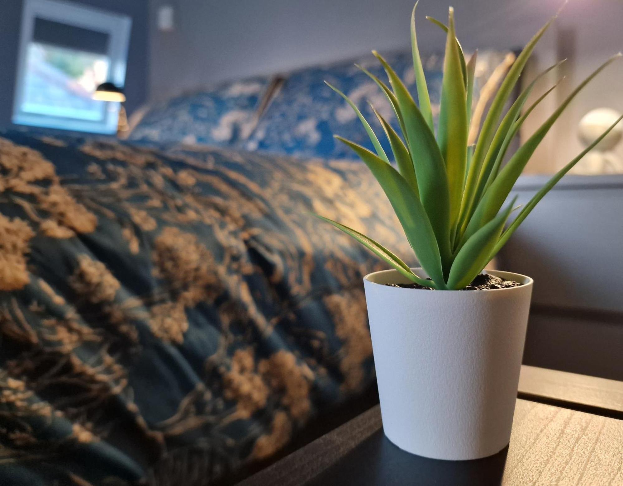 The Penthouse Ny Loft Apartment Barmouth Buitenkant foto